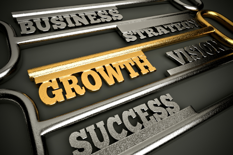 A Small Business Growth Strategy for Washington DC Business Owners